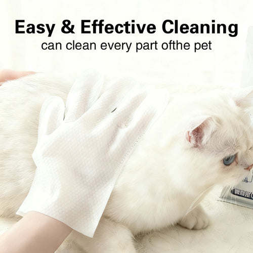 Pet No-Wash Gloves Deodorizing Disposable Pet Wipes